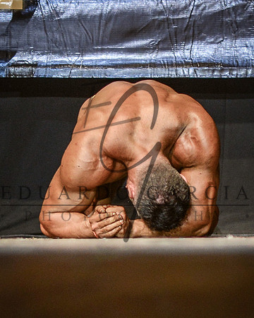 EDW_1393 copia