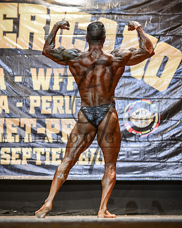EDW_1482 copia