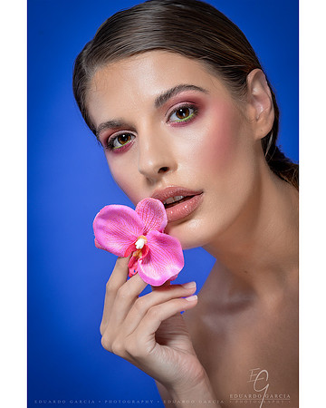 Beauty Flowers